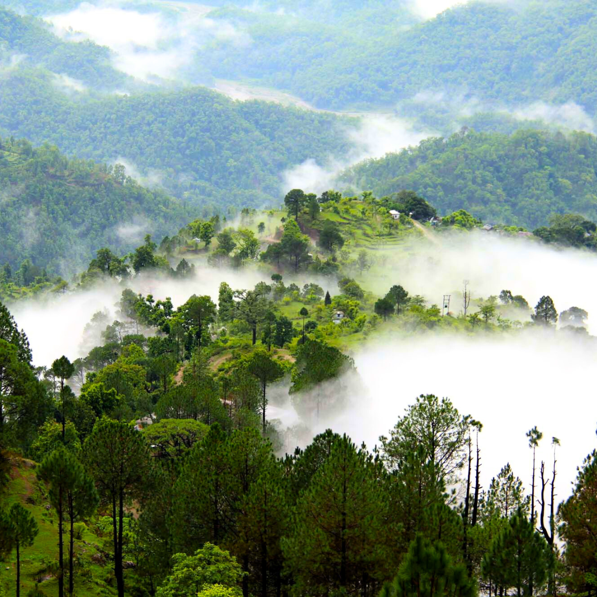 Premium Uttarakhand Holiday
